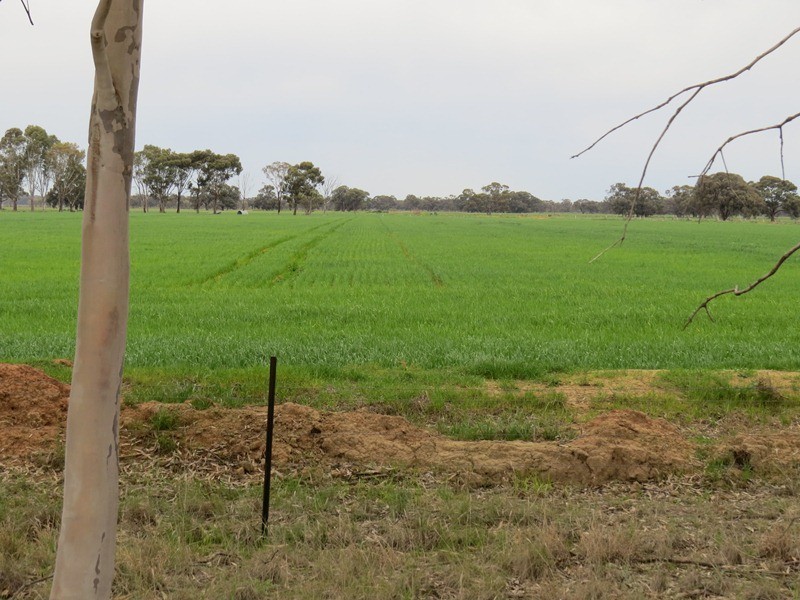 “Lynore” Wakool Road, Barham NSW 2732