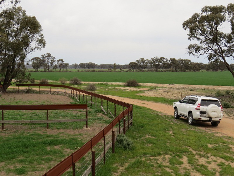 “Lynore” Wakool Road, Barham NSW 2732