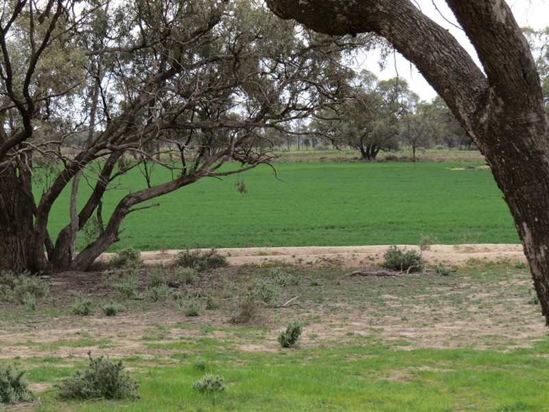 “Lynore” Wakool Road, Barham NSW 2732
