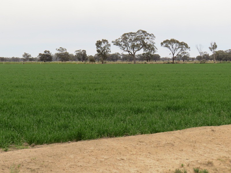 “Lynore” Wakool Road, Barham NSW 2732