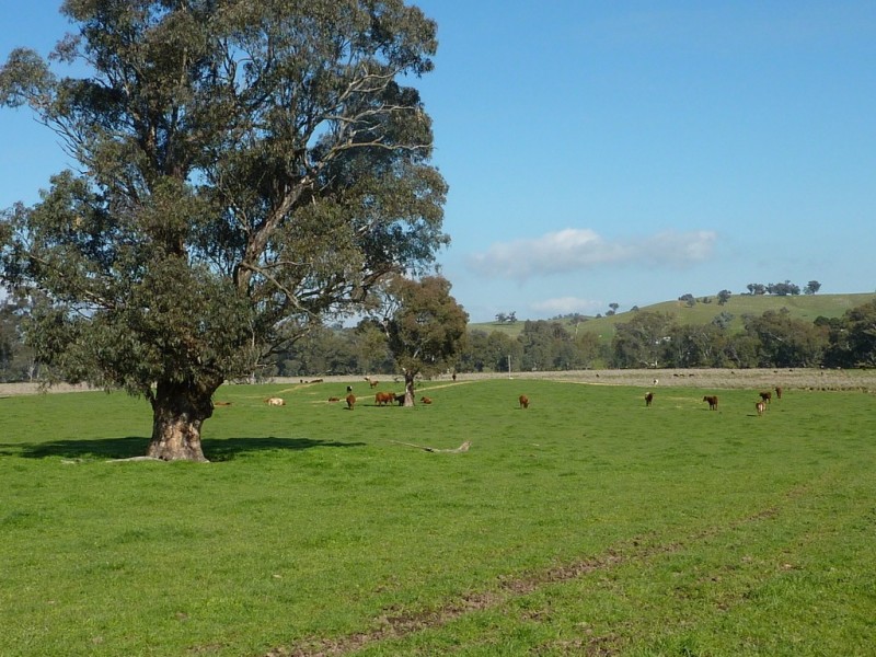 750 Humula Road ,Humula, Wagga Wagga NSW 2650