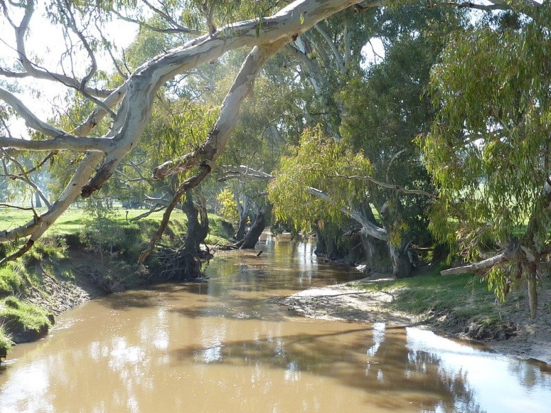 750 Humula Road ,Humula, Wagga Wagga NSW 2650