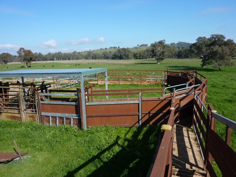 750 Humula Road ,Humula, Wagga Wagga NSW 2650