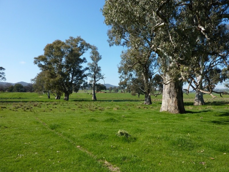 750 Humula Road ,Humula, Wagga Wagga NSW 2650