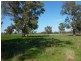 750 Humula Road ,Humula, Wagga Wagga NSW 2650