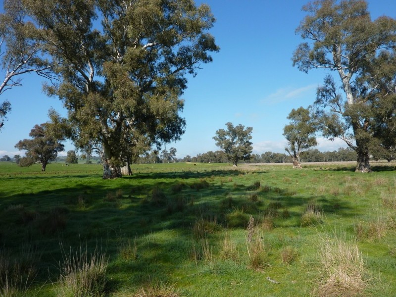 750 Humula Road ,Humula, Wagga Wagga NSW 2650