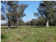 750 Humula Road ,Humula, Wagga Wagga NSW 2650