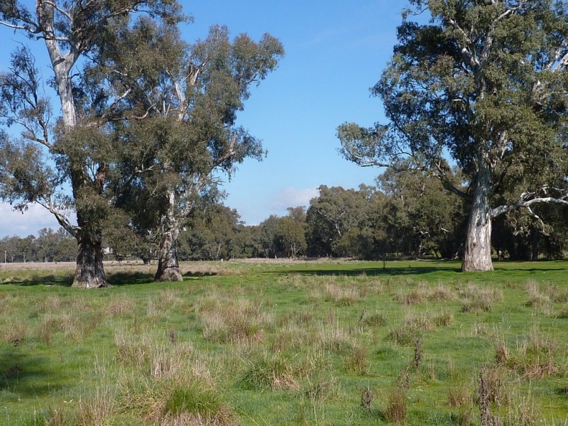 750 Humula Road ,Humula, Wagga Wagga NSW 2650