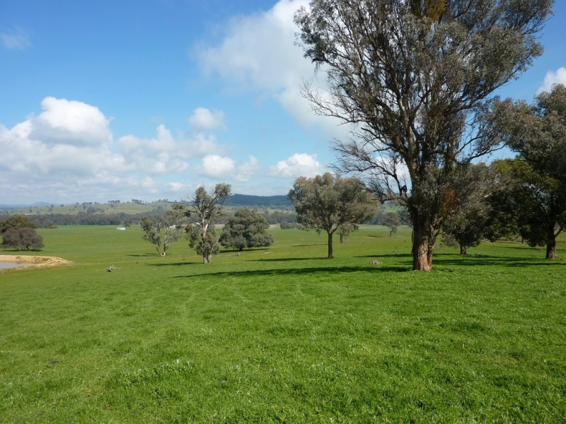 750 Humula Road ,Humula, Wagga Wagga NSW 2650