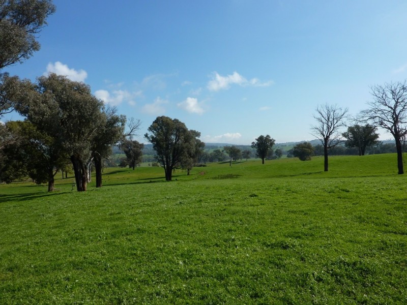 750 Humula Road ,Humula, Wagga Wagga NSW 2650