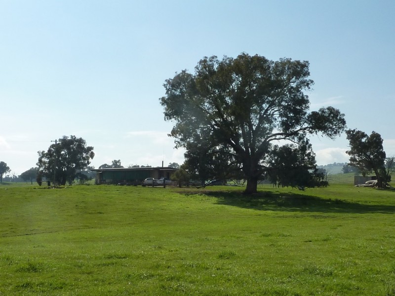 750 Humula Road ,Humula, Wagga Wagga NSW 2650