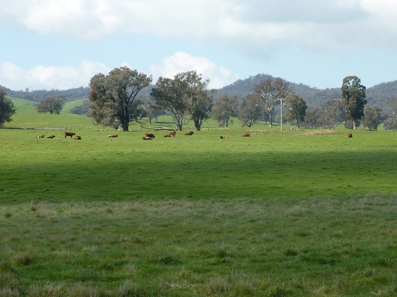 750 Humula Road ,Humula, Wagga Wagga NSW 2650