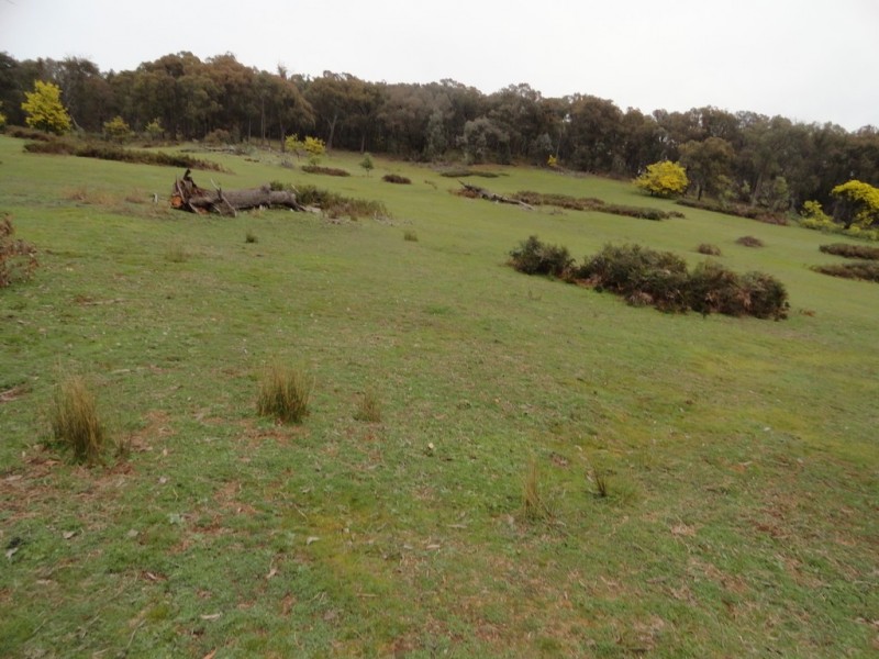 724 Yenschs Road, Lankeys Creek NSW 2644