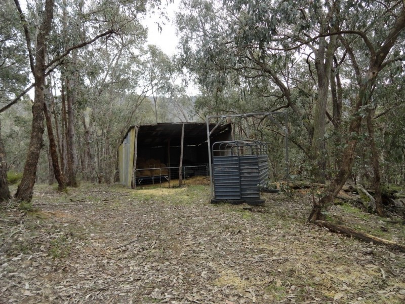 724 Yenschs Road, Lankeys Creek NSW 2644