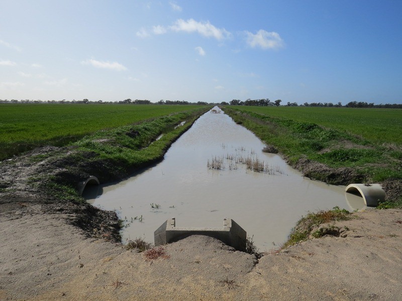 Rangemore RMB 380 Rangemore Road, Barham NSW 2732