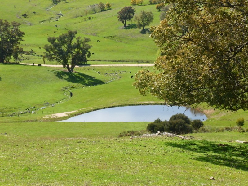 520 Wises Creek Road, Talgarno VIC 3691