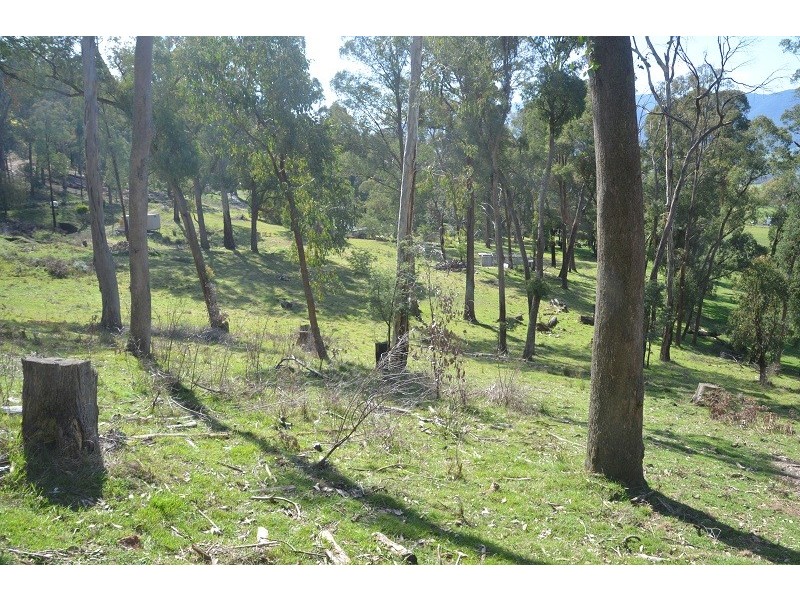 39 (Lot 2) Diggings Road, Tawonga VIC 3697