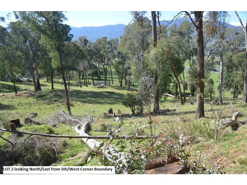 39 (Lot 2) Diggings Road, Tawonga VIC 3697