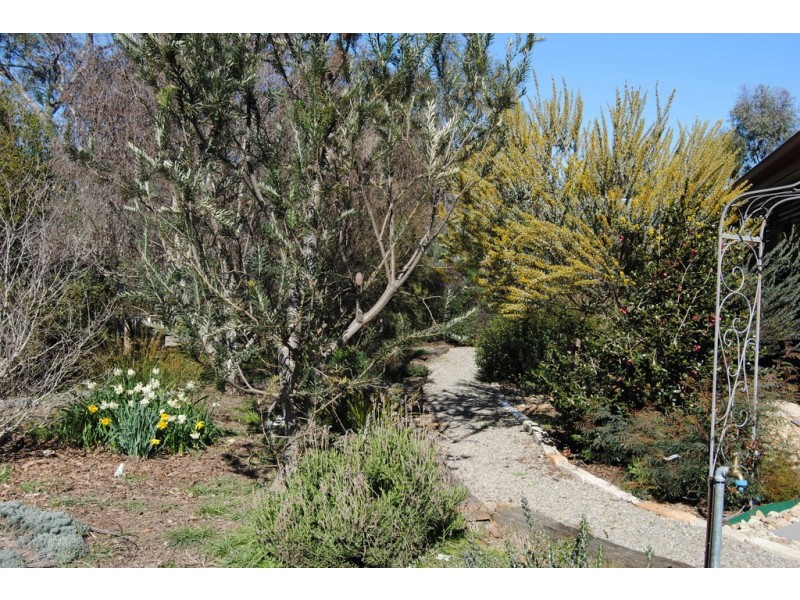 59 Franks Road, Chiltern Valley VIC 3683