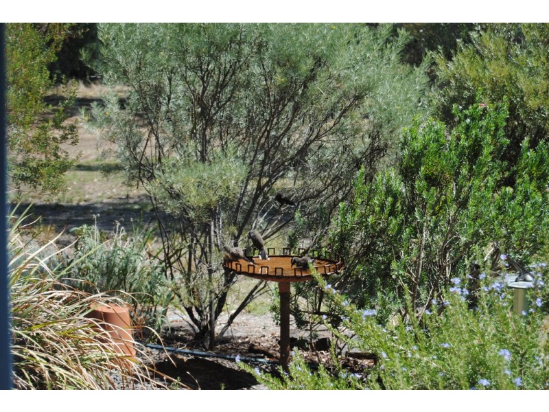 59 Franks Road, Chiltern Valley VIC 3683