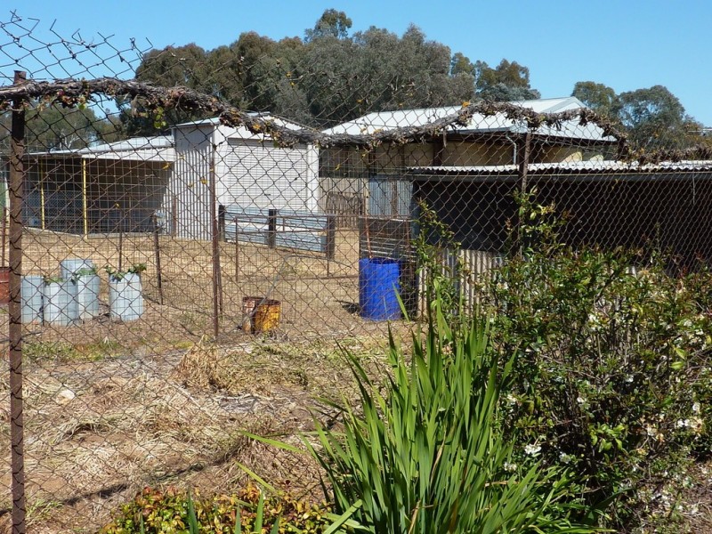 12 Tywong St Ladysmith, Wagga Wagga NSW 2650