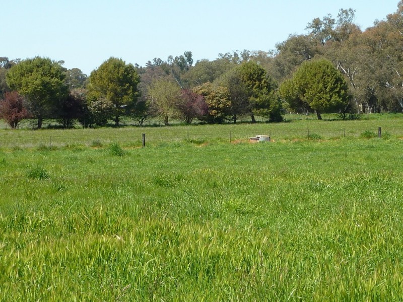 12 Tywong St Ladysmith, Wagga Wagga NSW 2650