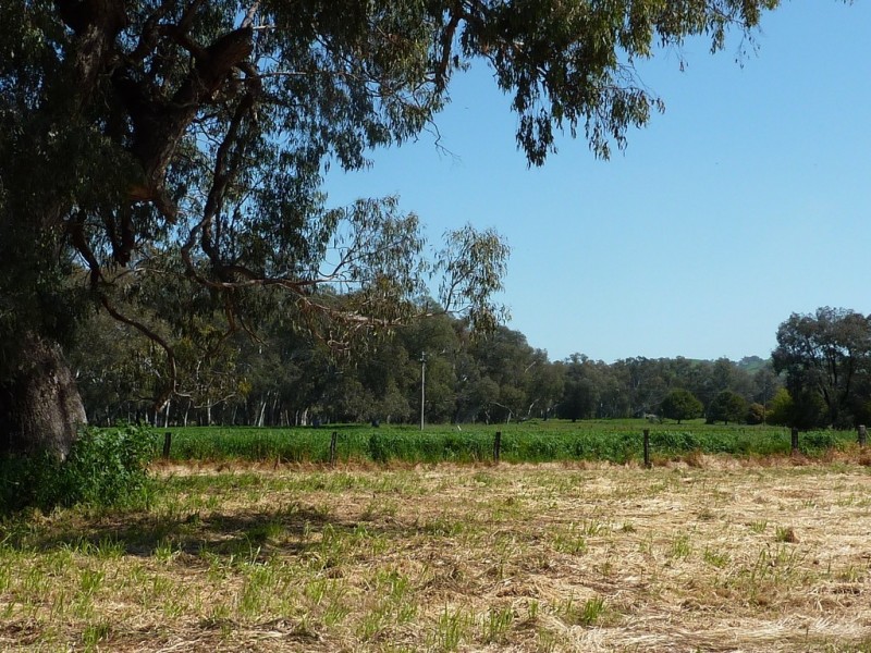 12 Tywong St Ladysmith, Wagga Wagga NSW 2650