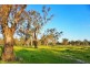 Lot 10 Sturt Highway, Gillenbah, Narrandera NSW 2700