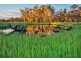 Lot 10 Sturt Highway, Gillenbah, Narrandera NSW 2700