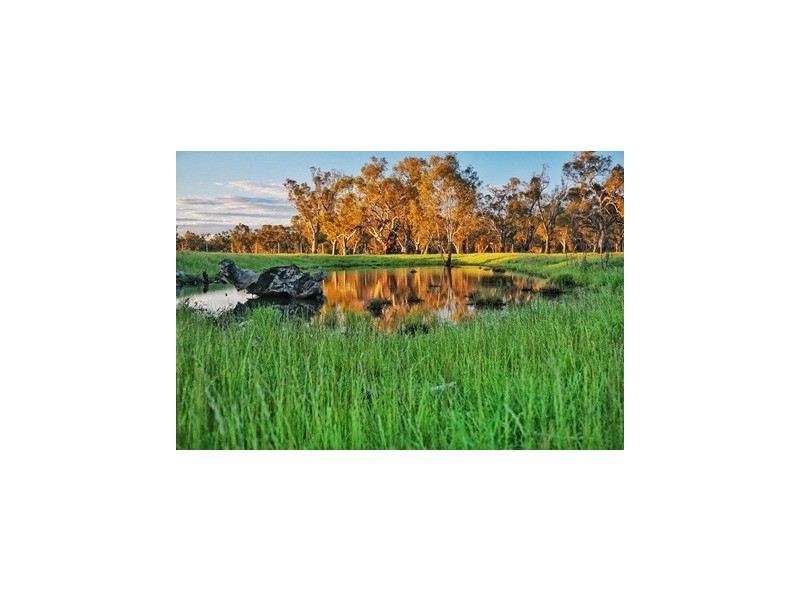 Lot 10 Sturt Highway, Gillenbah, Narrandera NSW 2700