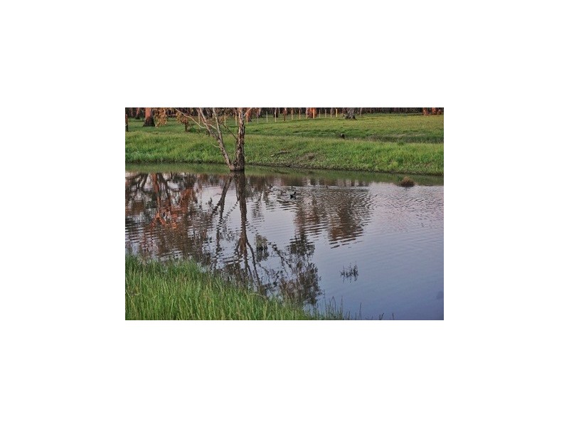 Lot 10 Sturt Highway, Gillenbah, Narrandera NSW 2700