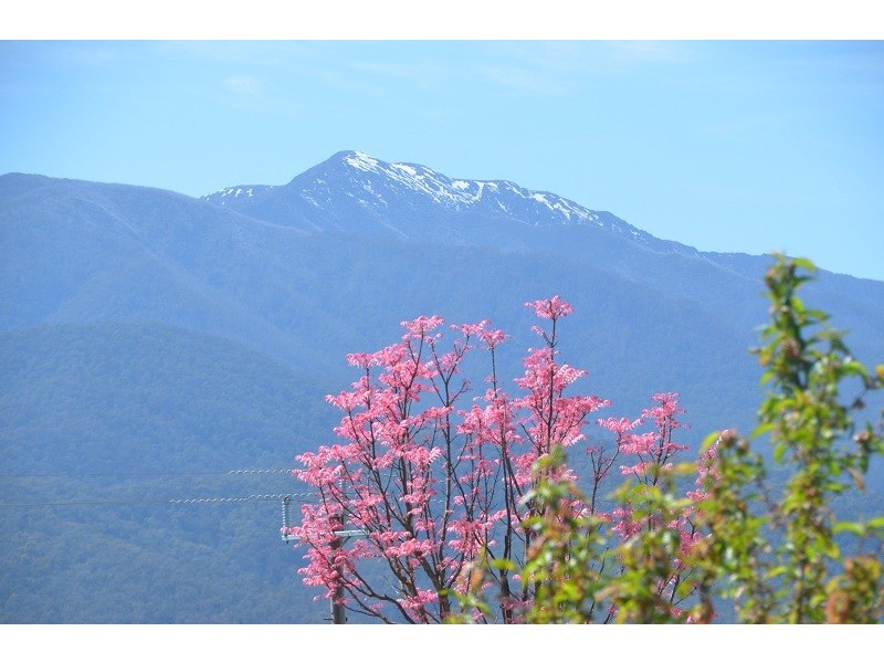 81-83 Kiewa Valley Highway, Tawonga South VIC 3698