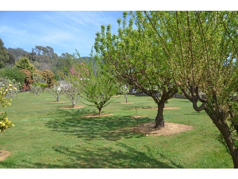 79 Kiewa Valley Highway, Tawonga South VIC 3698