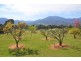 79 Kiewa Valley Highway, Tawonga South VIC 3698