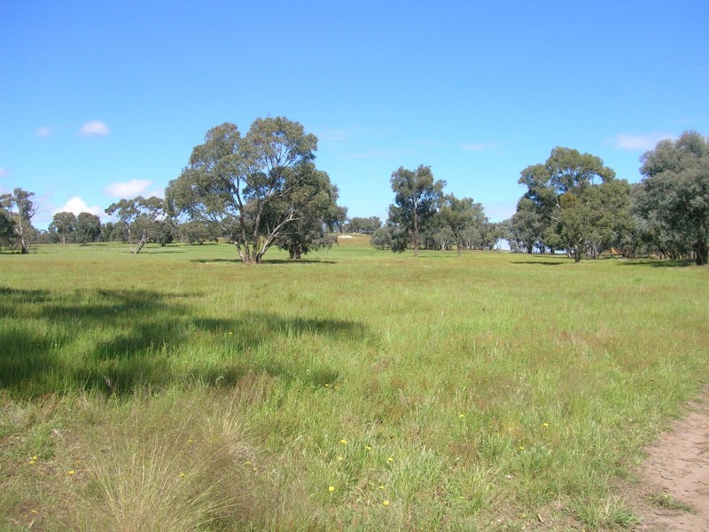 59-65 Gayfer Road, Chiltern VIC 3683