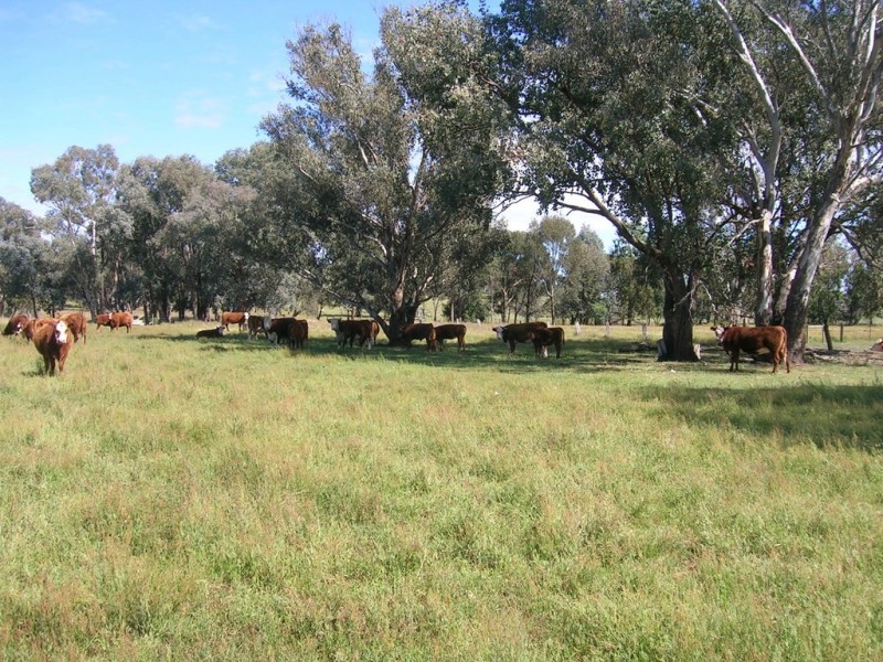 59-65 Gayfer Road, Chiltern VIC 3683