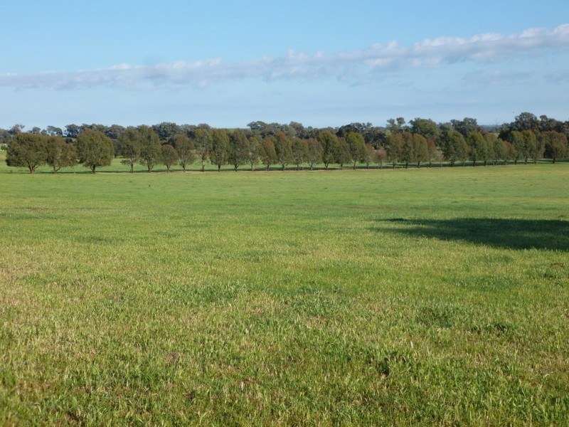 59-65 Gayfer Road, Chiltern VIC 3683