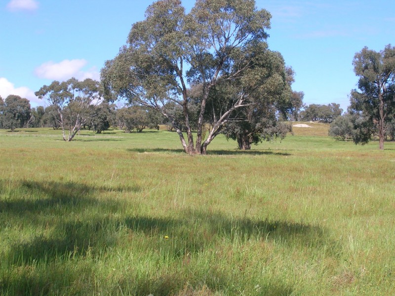 59-65 Gayfer Road, Chiltern VIC 3683