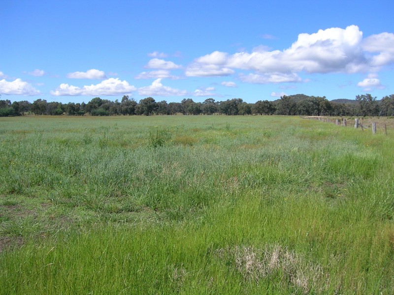 59-65 Gayfer Road, Chiltern VIC 3683
