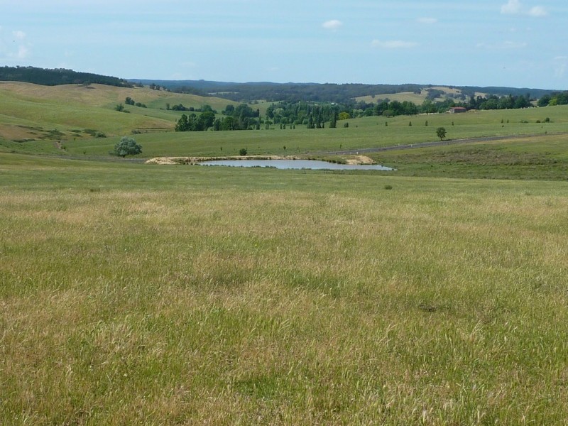 100 Humula Rd,Carabost via, Wagga Wagga NSW 2650