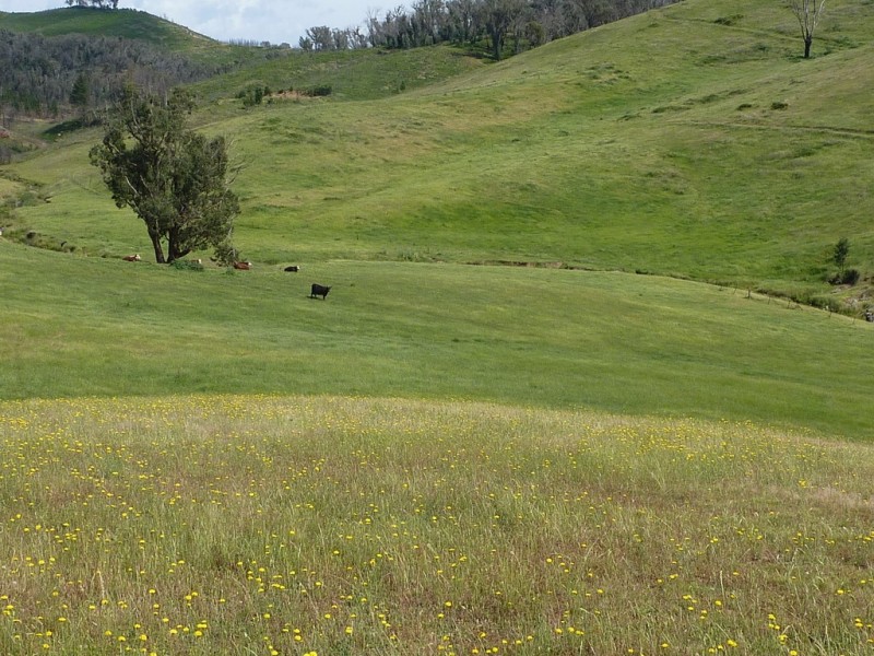 100 Humula Rd,Carabost via, Wagga Wagga NSW 2650