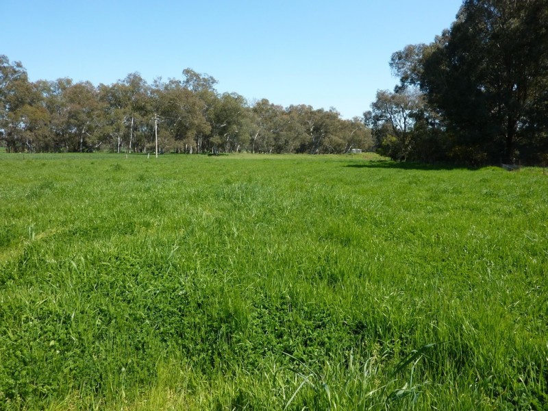 56 Kyeamba St Ladysmith via, Wagga Wagga NSW 2650