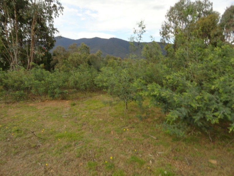 1306 Larkin Lane South, Upper Gundowring VIC 3691