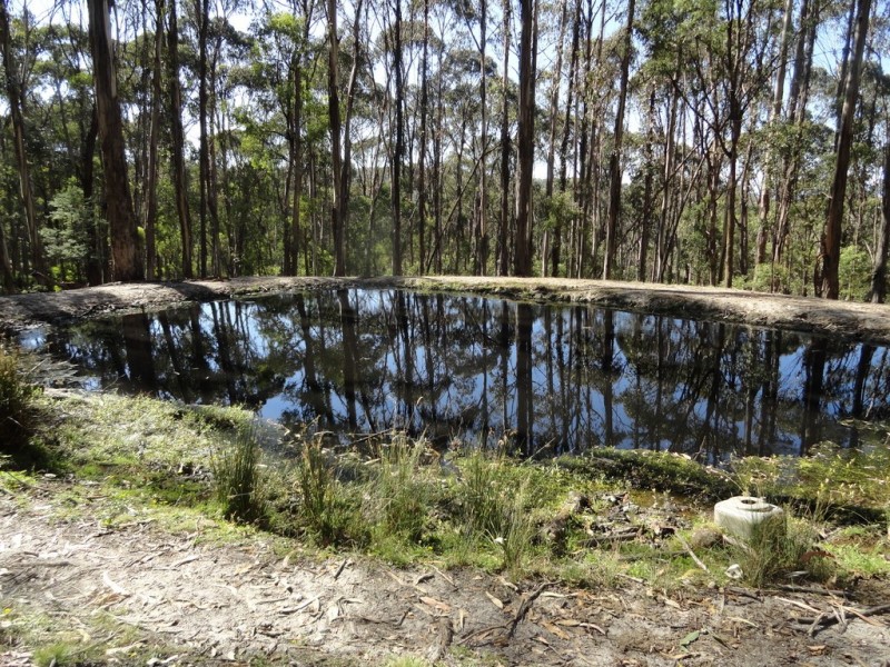 574 Firebrace Track, Granya VIC 3701