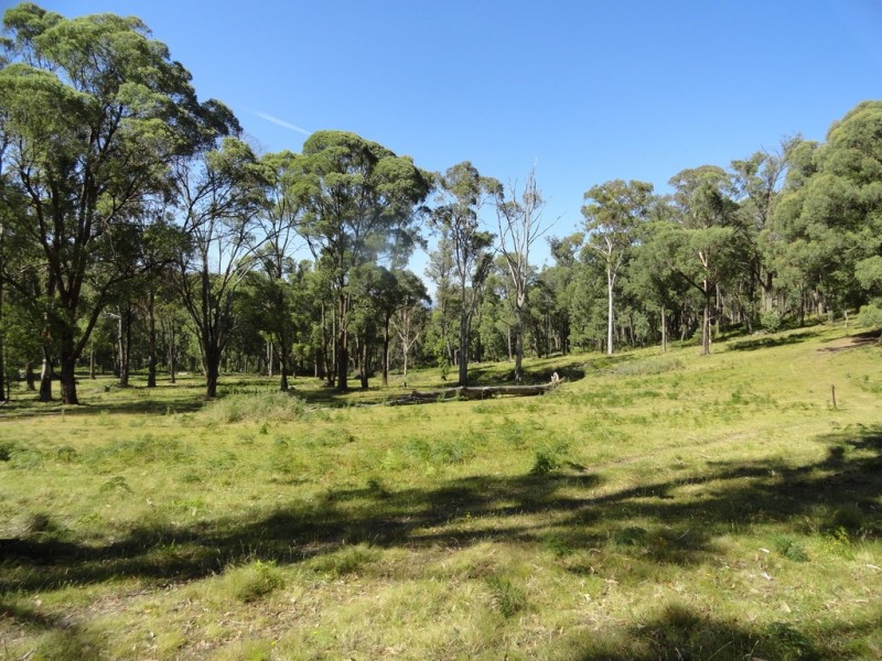 574 Firebrace Track, Granya VIC 3701