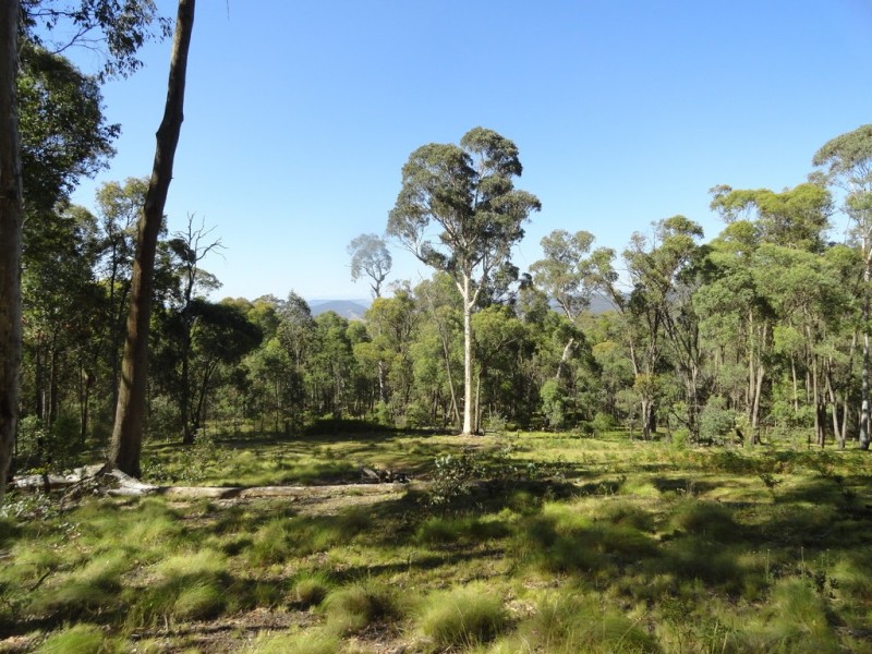 574 Firebrace Track, Granya VIC 3701