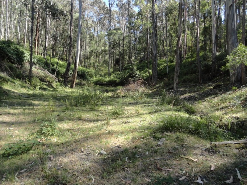 574 Firebrace Track, Granya VIC 3701