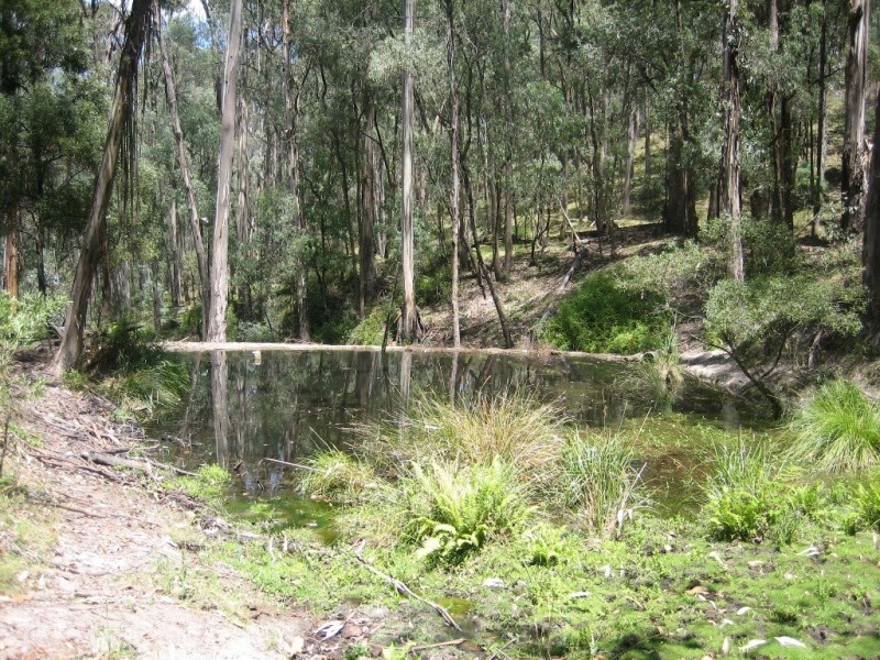 574 Firebrace Track, Granya VIC 3701