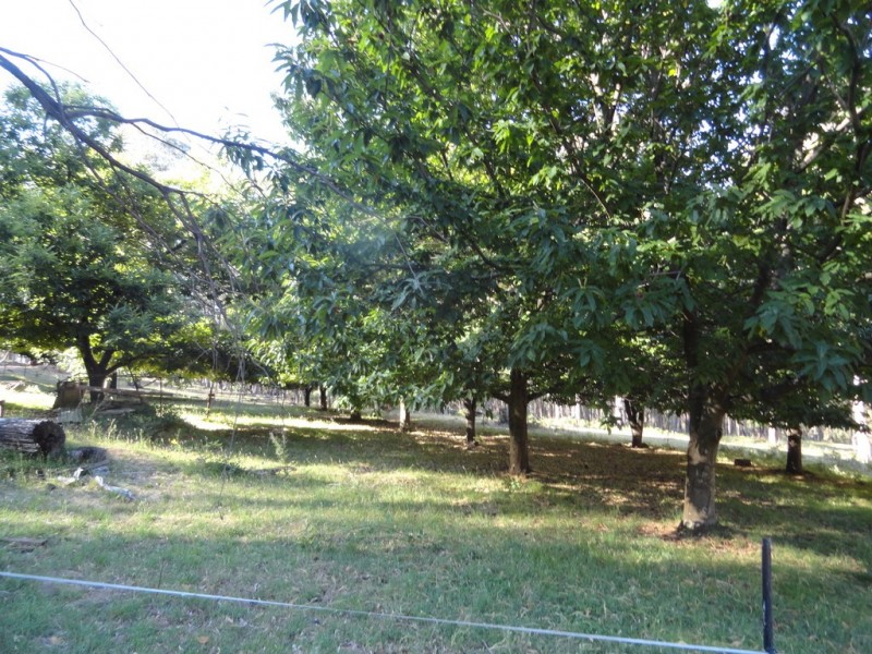 574 Firebrace Track, Granya VIC 3701