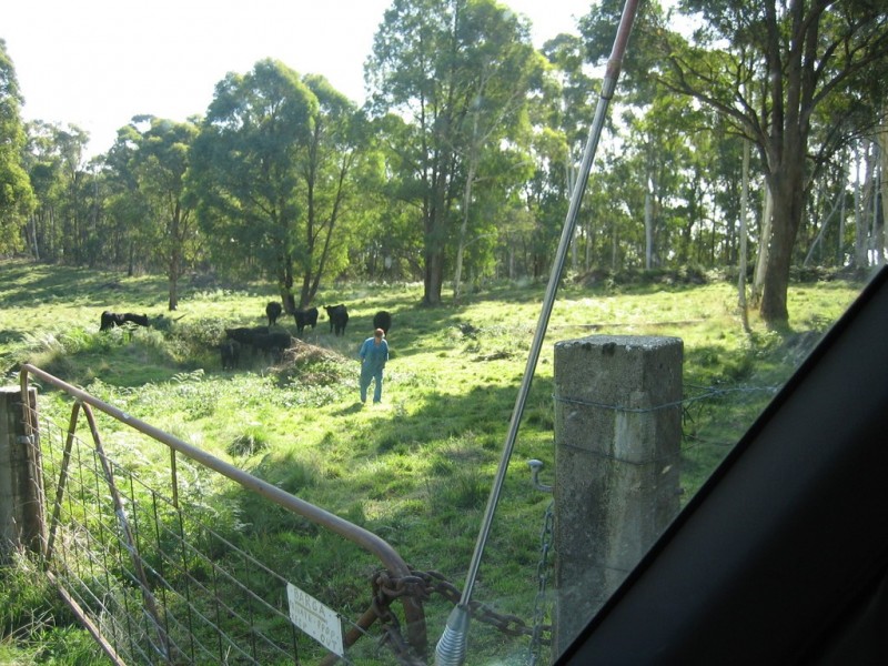 574 Firebrace Track, Granya VIC 3701